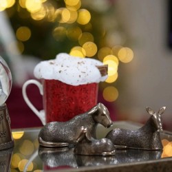 Genesis Nativity Animals