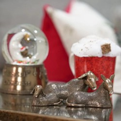 Genesis Nativity Animals